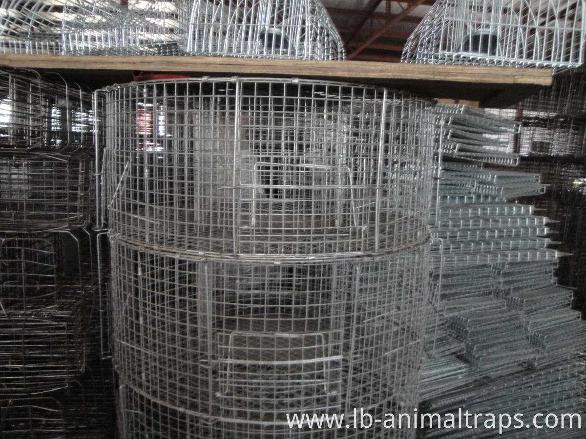 Live Animals Trap